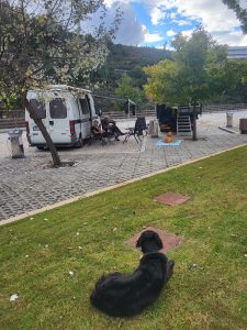 Pure & Wild Blog eerste drie weken portugal